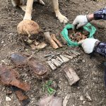 29 мая 2021 года в селе Васильевка Новороссийского района были найдены несколько боеприпасов времен ВОВ