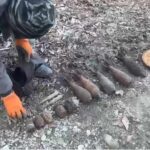 Вечная память героям: Найдены останки красноармейца в лесу на Семи ветрах Новороссийска