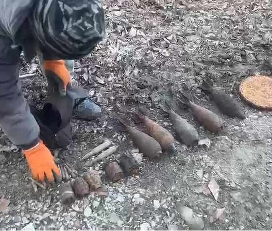 Вечная память героям Найдены останки красноармейца в лесу на Семи ветрах Новороссийска