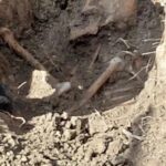 В селе Мысхако поисковики эксгумировали останки девяти красноармейцев