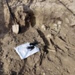 В селе Мысхако поисковики эксгумировали останки девяти красноармейцев